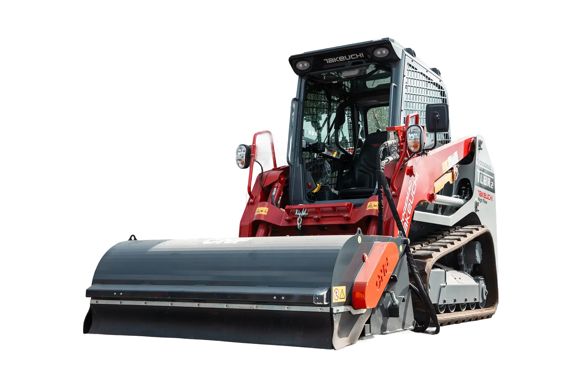 Minipala cingolata Takeuchi TL8R2