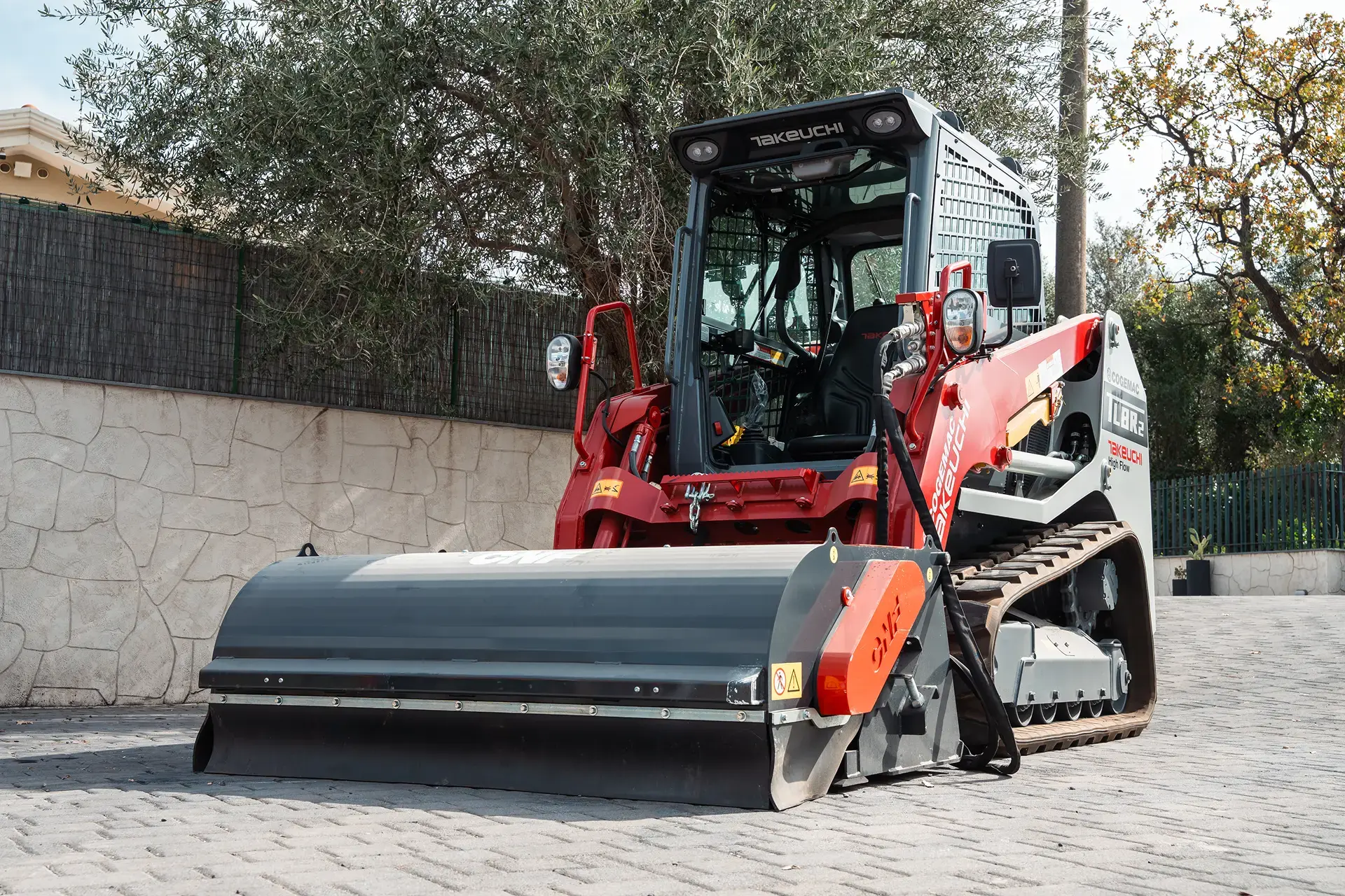 Minipala cingolata Takeuchi TL8R2